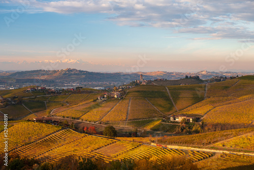 Panorama of Barbaresco vineyards in autumn, Piedmont, Italy #529461891