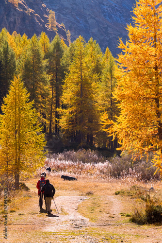 Autumn walk in the Valsavaranche valley, Pont, Valsavaranche, Valle d'Aosta, Italy © Pixelshop