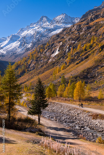 Autumn walk in the Valsavaranche valley, Pont, Valsavaranche, Valle d'Aosta, Italy
