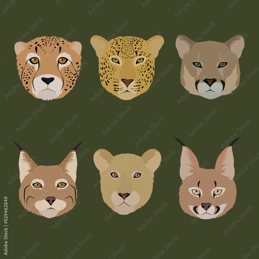 Fototapeta premium set of animals