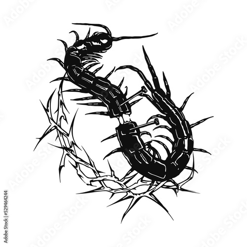 Fotografiet vector illustration of centipede split concept