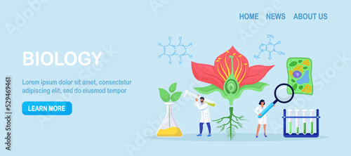 Scientist exploring nature. Botany, microbiology, biology. Science research lab. Scientists make laboratory analysis of life system, living organisms, plant cell. Molecular engineering, bioengineering
