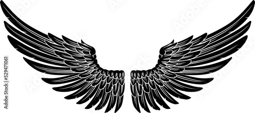 Slika na platnu Spread Pair Of Angel Or Eagle Feather Wings