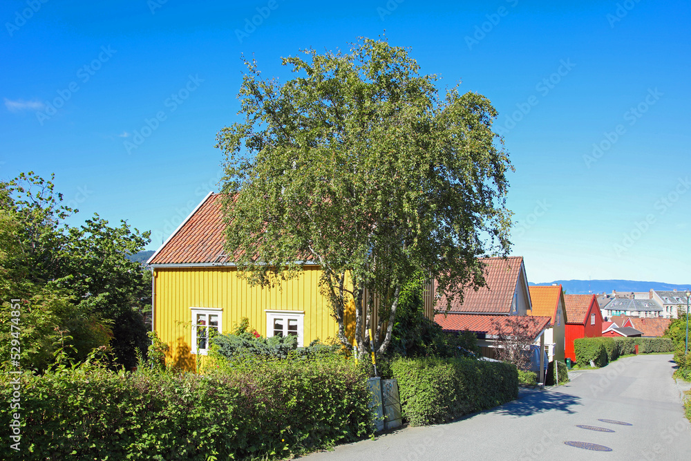 Fototapeta premium Bunte Häuser in Trondheim