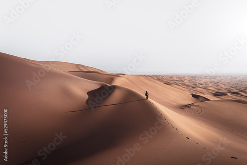 Man walking in the huge red desert dunes