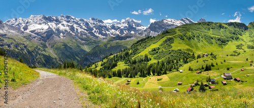 The panorma of Bernese alps with the Jungfrau, Monch and Eiger peaks over the alps meadows. photo