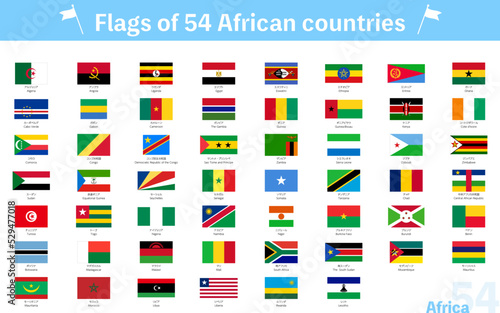 世界の国旗　アフリカの54か国セット