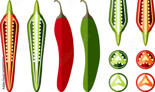 Set of serrano Chile peppers. Whole, half, sliced and wedges of peppers. Chile serrano. Serrano chilis. Chili pepper. Vegetables. Flat design. Vector illustration isolated on white background.