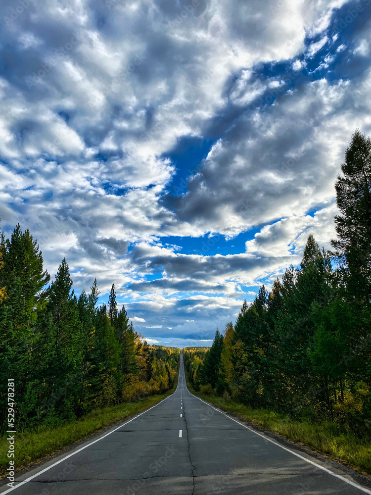 Naklejka premium road to the mountains