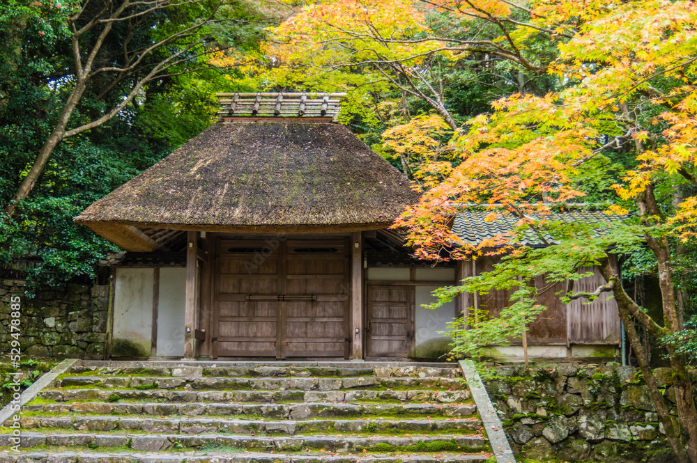 京都の秋