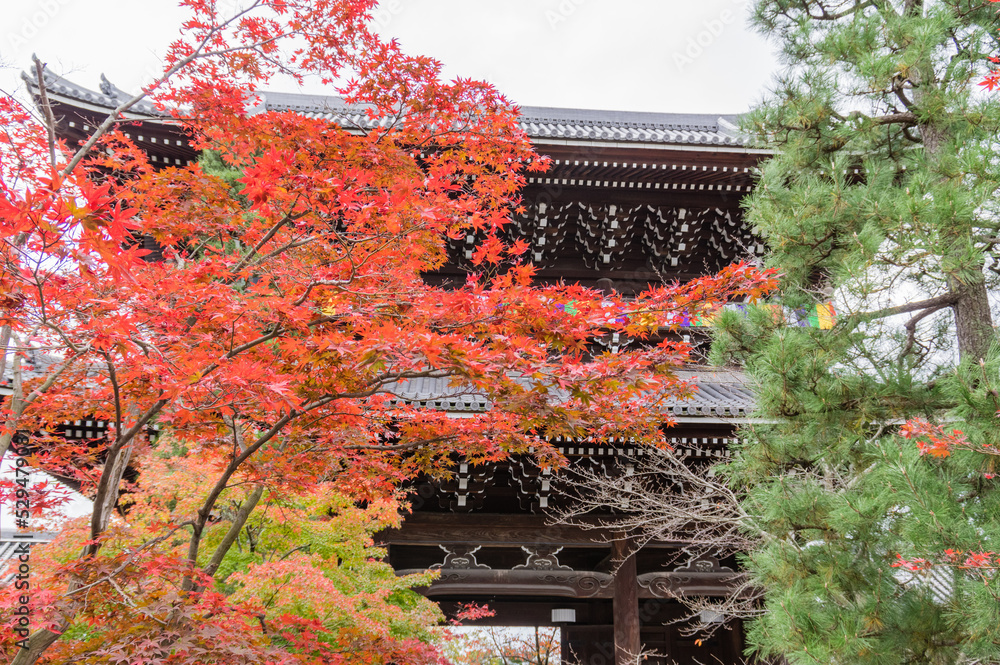 京都の秋