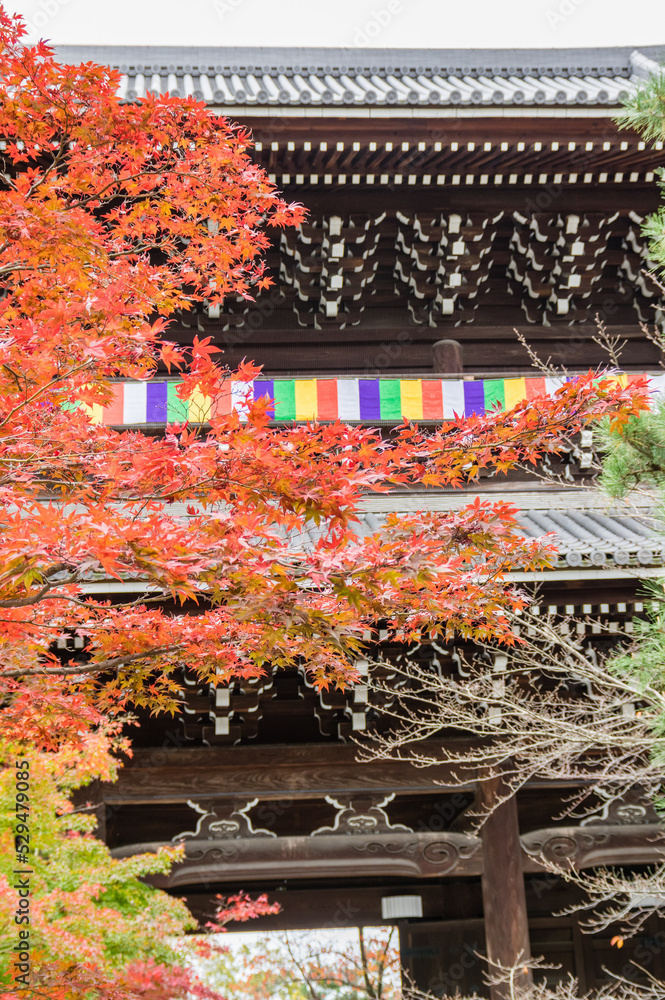 京都の秋