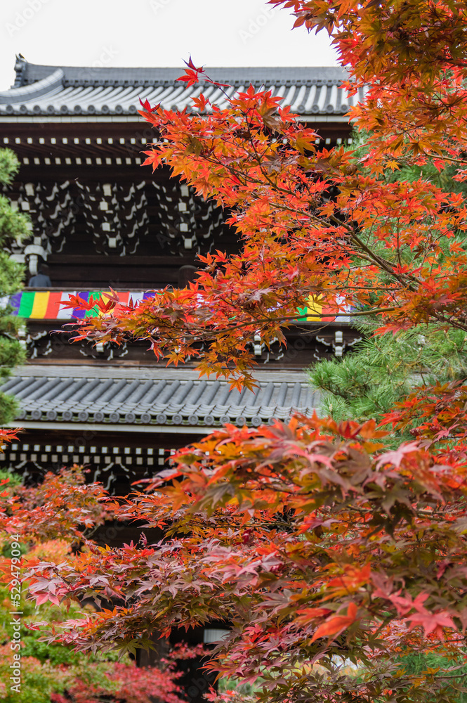 京都の秋