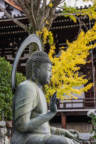 京都の秋