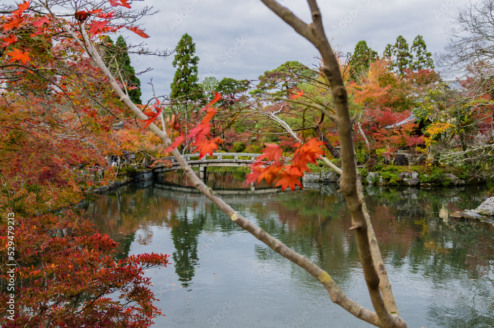 京都の秋
