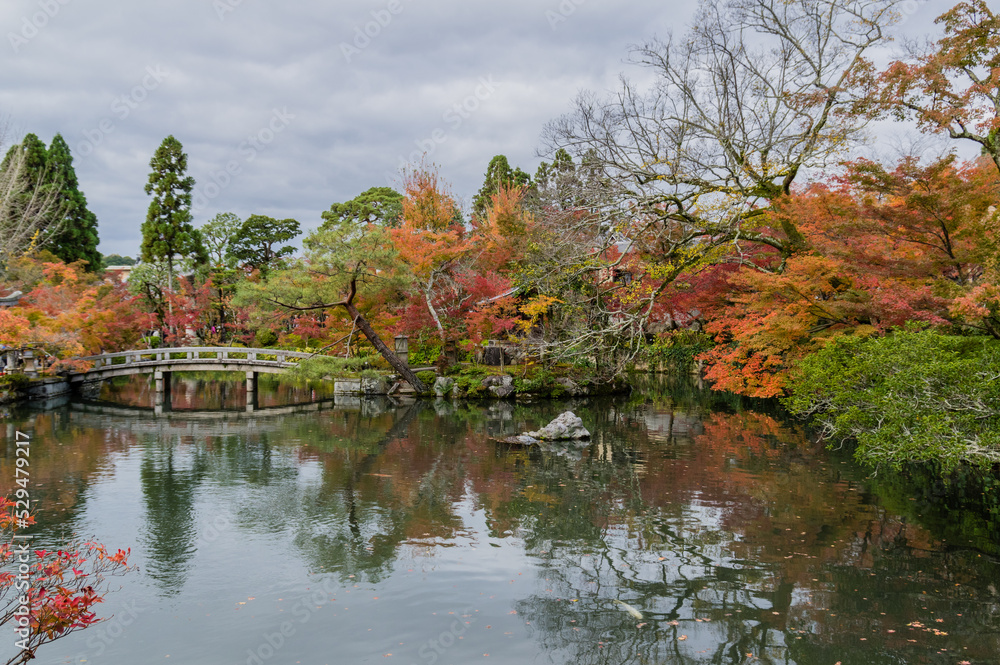 京都の秋