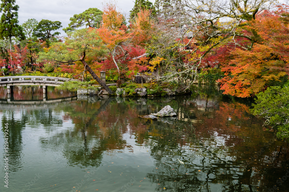 京都の秋