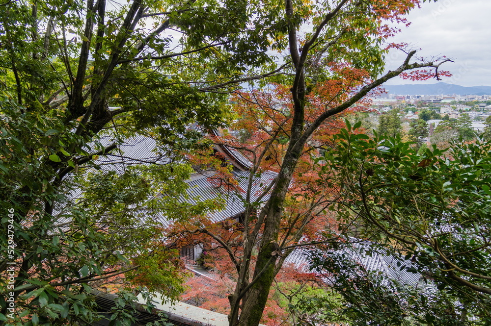 京都の秋