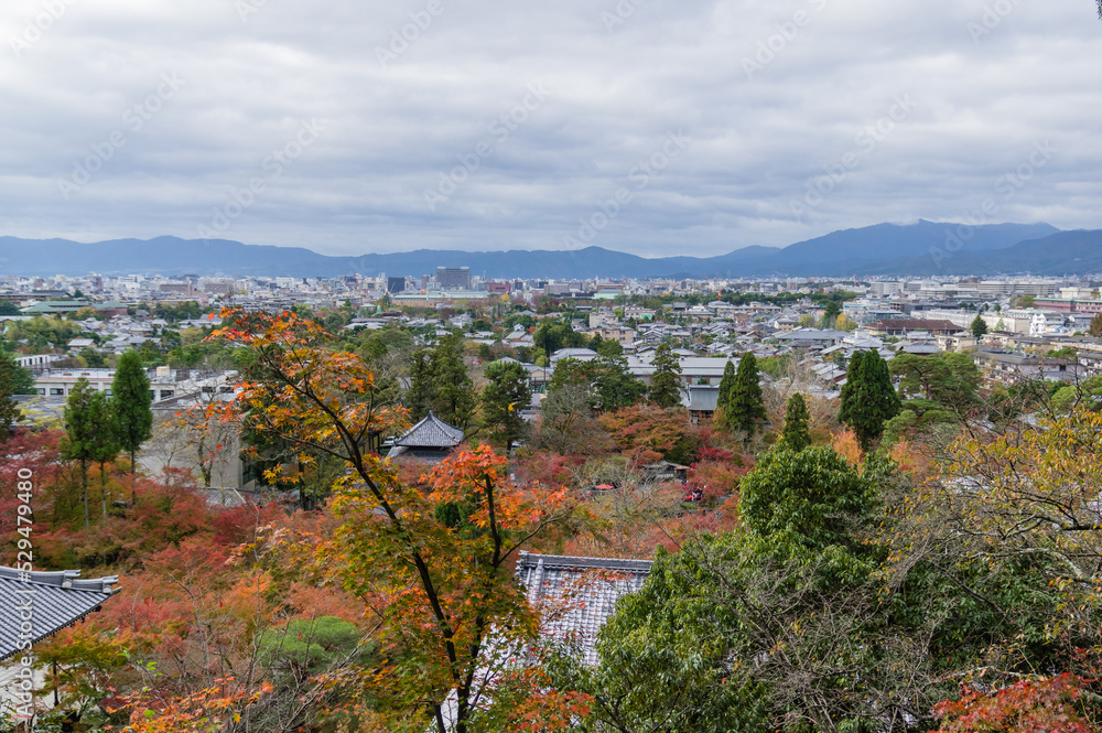 京都の秋