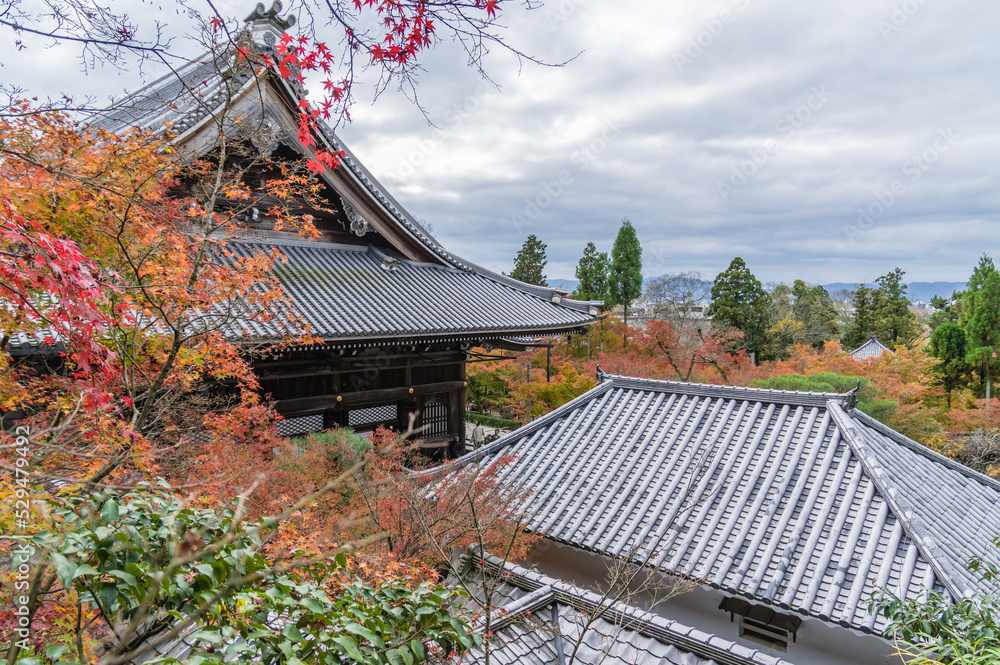 京都の秋