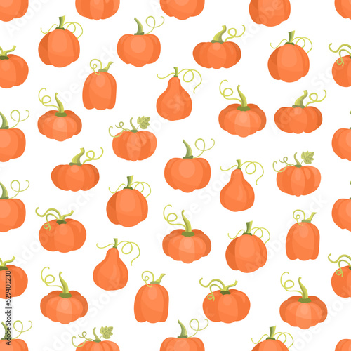 Autumn seamless patterns with pumpkins on white background. Hand drawn flat illustration.