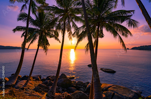 Fototapeta Naklejka Na Ścianę i Meble -  Silhouette coconut palm trees at sunset or sunrise sky over sea Amazing light nature colorful landscape Beautiful light nature sky and clouds