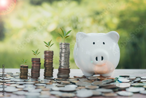 saving money for business finance and investment money coins stagkgrowing graph with piggy bank saving concept. plant growing up oncoin. Balance savings and investment