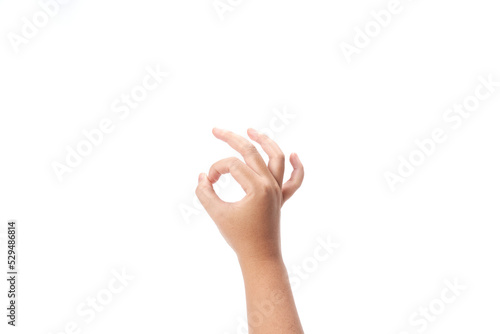 right hand  isolated on white background