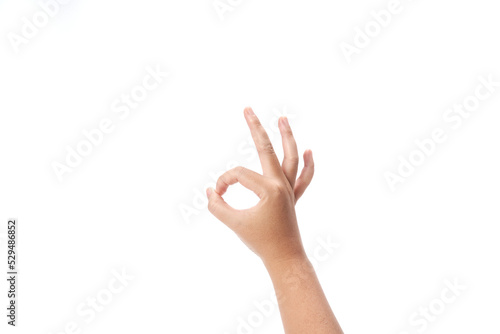 right hand  isolated on white background