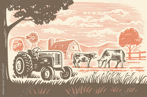 Country farm with tractor and cows. Countryside line sketch