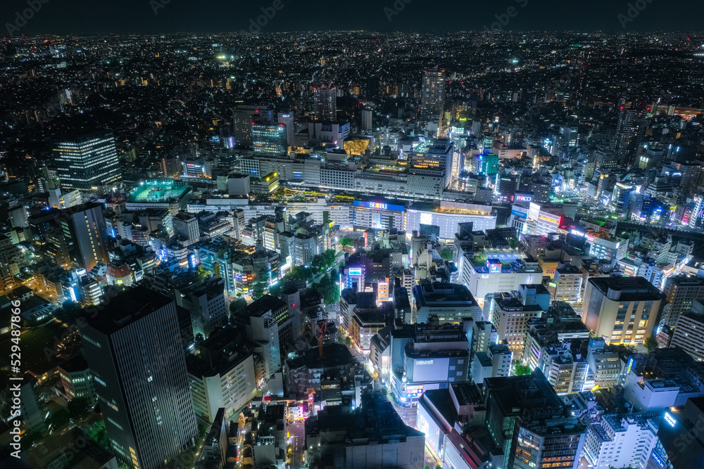Fototapeta premium 東京都 池袋、サンシャイン60展望台からの池袋駅周辺の夜景
