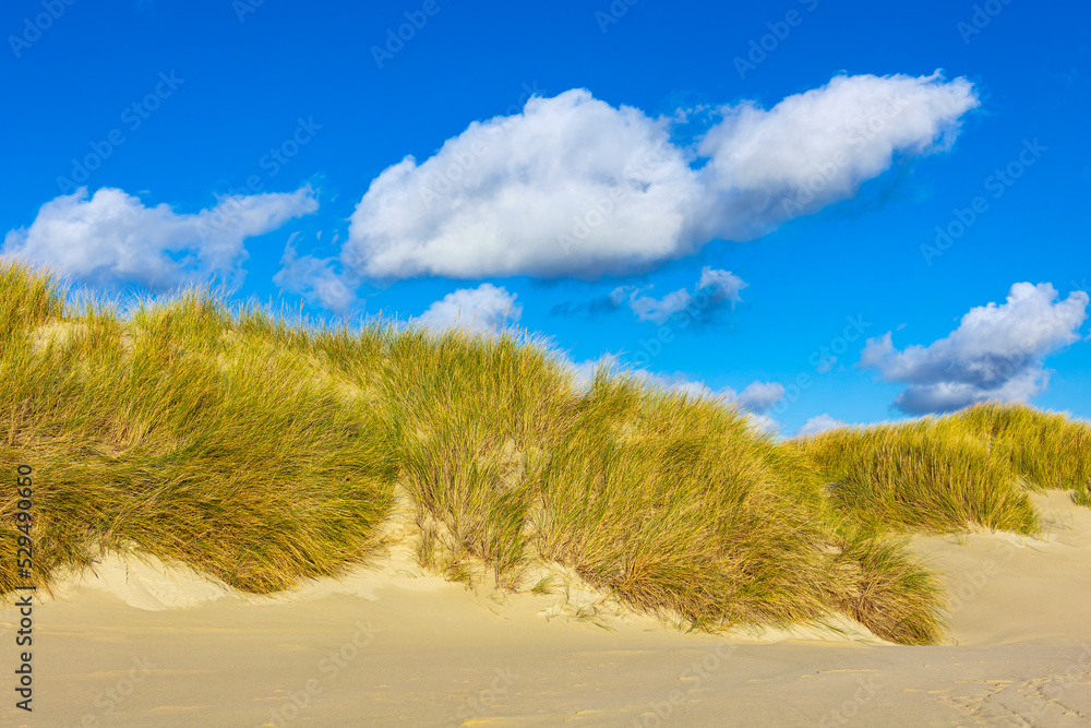 Landschaft mit Dünen auf der Nordseeinsel Amrum Landschaft mit Dünen auf der Nordseeinsel Amrum