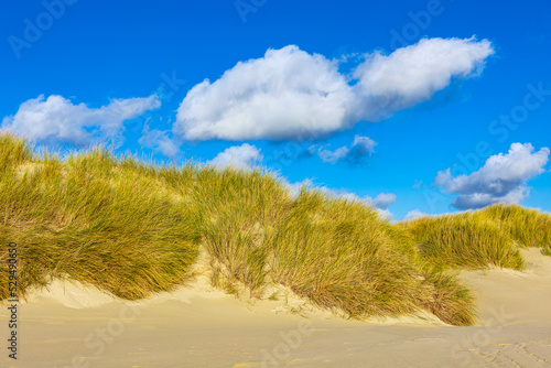 Landschaft mit Dünen auf der Nordseeinsel Amrum