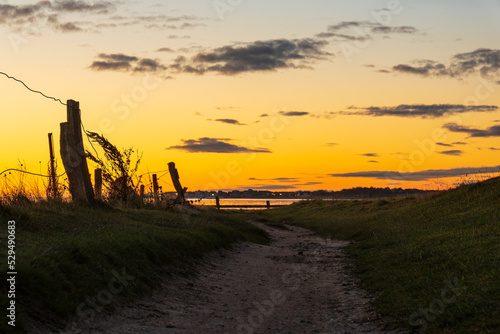 Weg zum Wattenmeer morgens auf der Nordseeinsel Amrum © Rico Ködder