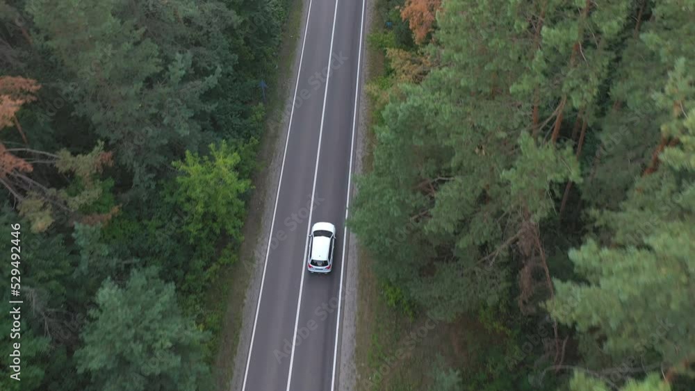 Top view of white car riding along road in green forest. Auto driving at rural route at summer day. SUV moving through scenic landscape way at beautiful season. Concept of holiday travel. Aerial shot Top view of white car riding along road in green forest. Auto driving at rural route at summer day. SUV moving through scenic landscape way at beautiful season. Concept of holiday travel. Aerial shot