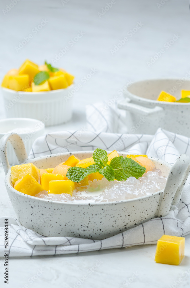 The thai dessert food modern style : The homemade sago in coconut milk with topping is mango cut into squares and cantaloupe ball in the white bowl and placed on tablecloth plaid on the marble table. The thai dessert food modern style : The homemade sago in coconut milk with topping is mango cut into squares and cantaloupe ball in the white bowl and placed on tablecloth plaid on the marble table.