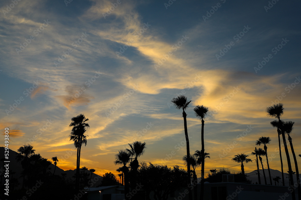 Palm trees in silhouette against a golden sunset sky Palm trees in silhouette against a golden sunset sky