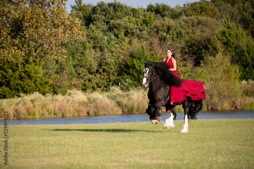 Woman in a red dress on a Horse
