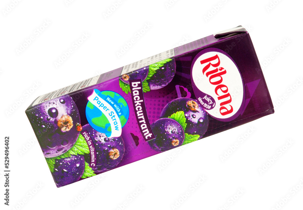 Ribena blackcurrant fruit flavoured uncarbonated soft drink in a 250ml ...