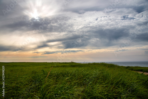 sunset over field