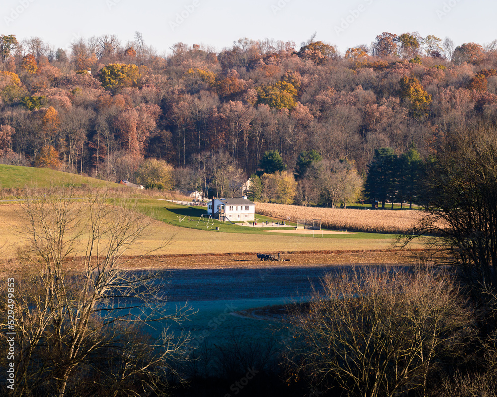 Fototapeta premium Amish school nestled in a wooded valley with farm fields in autumn in Holmes County, Ohio, USA