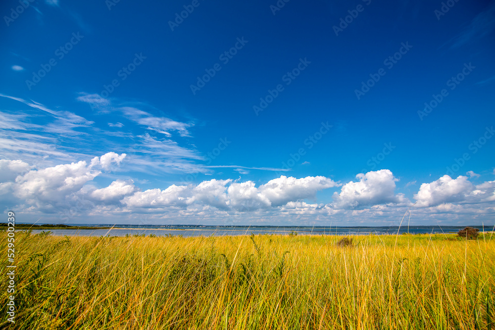 Obraz premium sky and beach