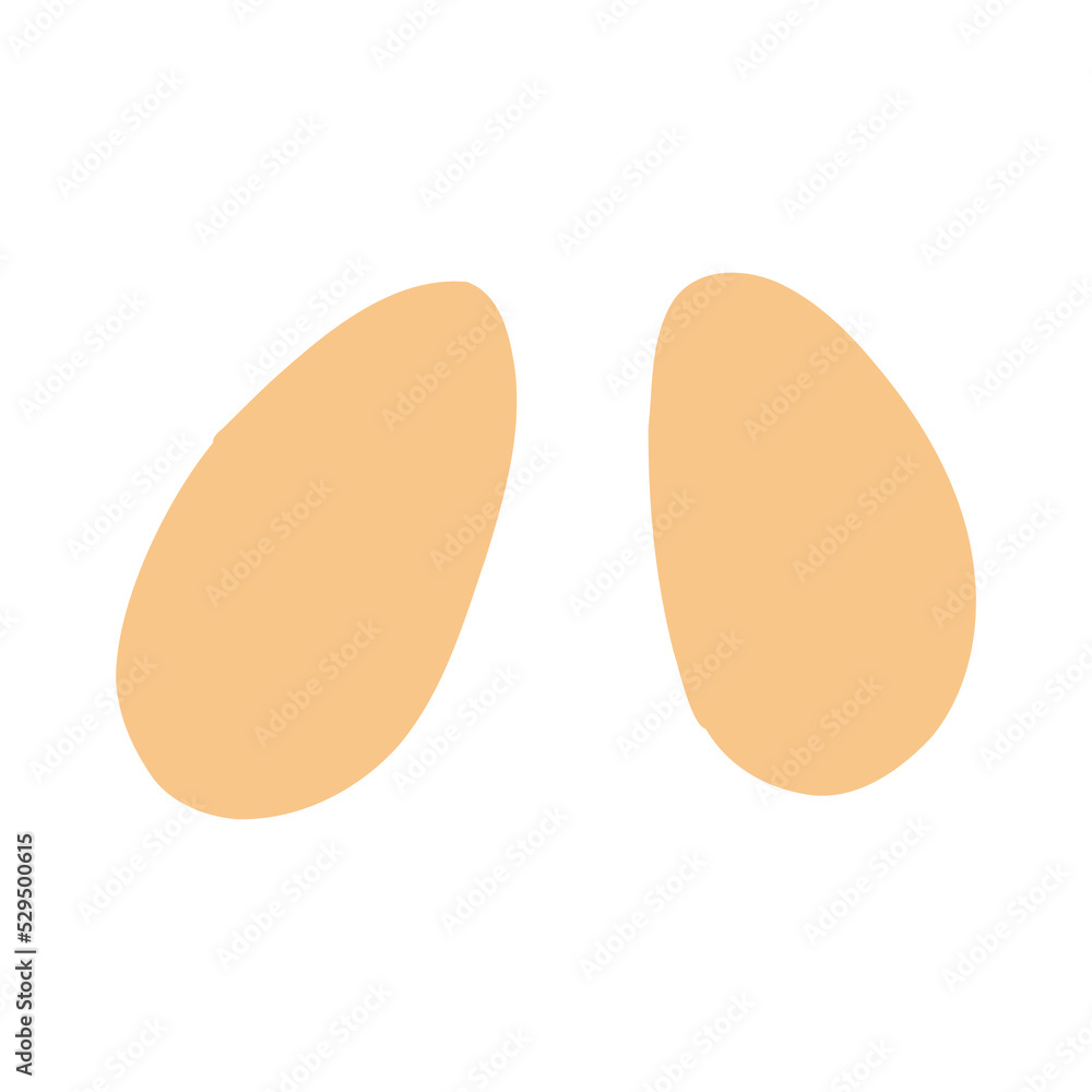 Set of light brown whole chicken eggs in cartoon flat style. Vector Illustration Set of light brown whole chicken eggs in cartoon flat style. Vector Illustration