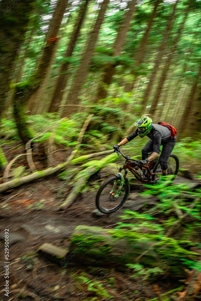 Man mountain biking through forest Man mountain biking through forest