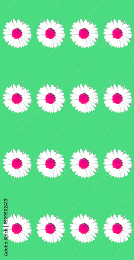 Floral daisy selective colour greeting card design