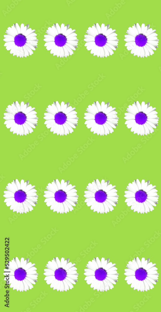 Floral daisy selective colour greeting card design Floral daisy selective colour greeting card design