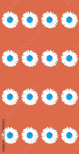 Floral daisy selective colour greeting card design