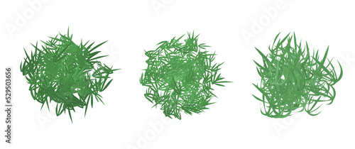 Isolated bush foliage, leaves foliage, isolated bush vector elements, perfect for elements, design assets, graphical resources