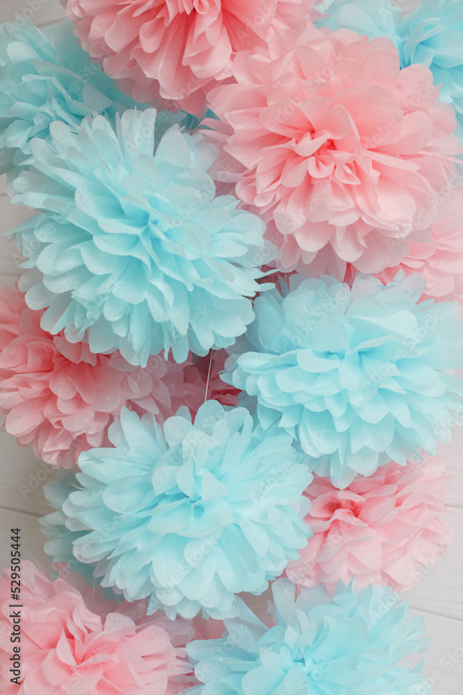 pink chrysanthemum flowers pink chrysanthemum flowers