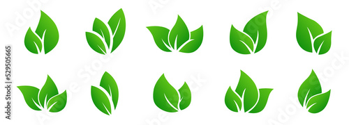 Leaves vector set in gradient green colours on white background. Flat design illustration